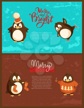 Merry Christmas penguin wearing hats and sweaters with pine tree print vector. Animal drinking tea, cup with hot beverage, knitted socks accessories