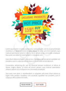Exclusive product hot price poster and text sample. Banner decorated with leaves autumn foliage. Special deal offer promotion fall clearance vector