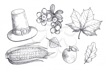 Maple leaves and corn, maize with seeds monochrome sketches outline set vector. Hat with belt, apple fruit and cranberry, berries and healthy meal