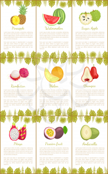 Pineapple and watermelon, sugar apple and rambutan, melon and chompoo, pitaya and passion fruit, ambarella tropical exotic food posters with text sample