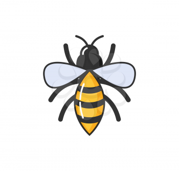 Allergy hypersensitivity of bee sting, fly with wings isolated vector. Allergic reaction wasp with striped body. Sensitivity of human body on animals