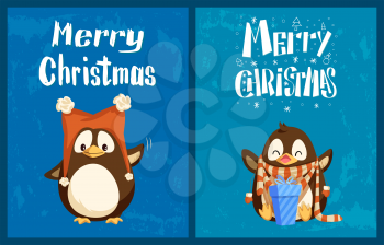 Merry Christmas greeting cards, penguins in hat with bubos and scarf with mittens. Gift box or present, bird in winter clothes, holiday celebration vector