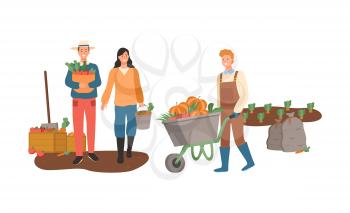 Group of agricultural workers standing on soil, man and woman picking vegetables, portrait view of farmers holding tomatoes, pumpkin and carrot vector