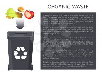 Organic waste being thrown in black bin having recycle sign, rotten apple, salad orange, poster and editable text sample in box vector illustration