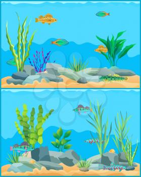 Colorful aquarium fishes in blue water promo poster. Multicolored sea animals, green water plants and bottom stones flat cartoon vector illustration.