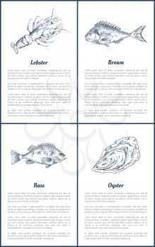 Lobster and bream bass fish posters set. Marine life ingredients of luxury dishes. Oysters crustacean animal seafood in sketches vector illustration