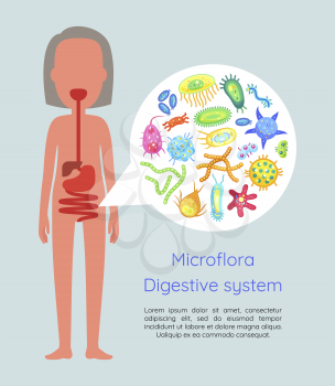 Microflora digestive system poster and text sample. Human body with microorganisms inside of bowel. Intestinal germs colon cells and bacteria vector
