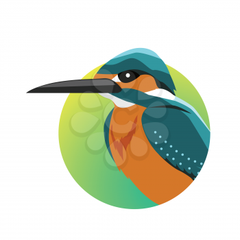 Kingfisher vector. Predatory birds wildlife concept in flat style design. Tropical fauna illustration for prints, posters, childrens books illustrating. Beautiful kingfisher bird seating isolated on white.