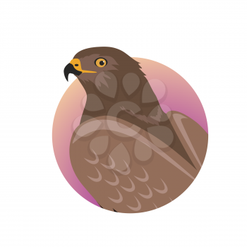 Hawk vector. Predatory birds wildlife concept in flat style design. World fauna illustration for prints, posters, childrens books illustrating. Beautiful hawk seating isolated on white.