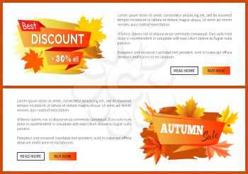 Discounts offer special price -30 off invitation vouchers on autumn big sale 2017, fall collection web banners with buttons read more, buy now vector