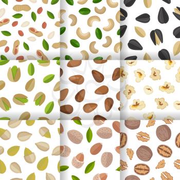 Set of nuts and seeds seamless pattern on white background. Pumkin seeds, almond, walnut, sunflower seed, flax seed, peanut, cashew. Nuts pattern collection in flat. Vector illustration