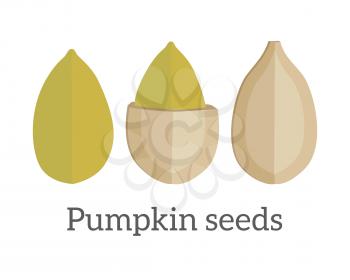 Pumpkin seeds vector in flat style design. Traditional classic snack from pile pumpkin. Diet and therapeutic product. Source of valuable fats, elements, vitamins and oil. Isolated on white background.