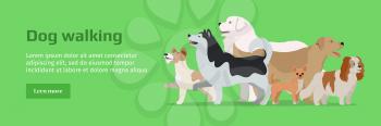 Professional dog walking banner. Group of different breeds dogs on green background. Website horizontal template. Dog service. Vector illustration in flat style. Cartoon dog character, pet animal