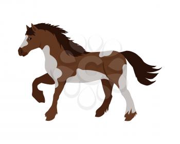 Running pinto horse flat style vector. Domestic animal. Country inhabitants concept. Illustration for farming, animal husbandry, horse sport companies. Agricultural species. Isolated on white 