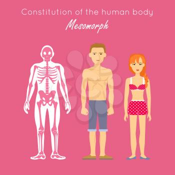 Constitution of human body. Mesomorph. Hard, rugged, triangular, athletically built with muscles, thick skin and good posture. Risk taking person. Vigorous, courageous, assertive dominant Vector