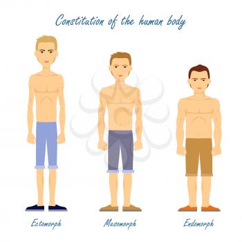 Constitution of human body. Ectomorph. Mesomorph. Endomorph. Men in underwear cloth. Boysdifferent figures types. Somatotype and constitutional psychology concept in flat style. Vector illustration