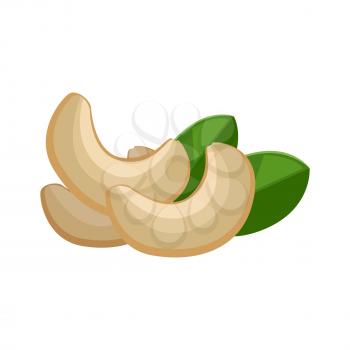 Illustration of cashew nuts. Ripe cashew nuts with leaves in flat. Cashew on white background. Several cashew kernels. Healthy vegetarian food. Isolated vector illustration on white background.