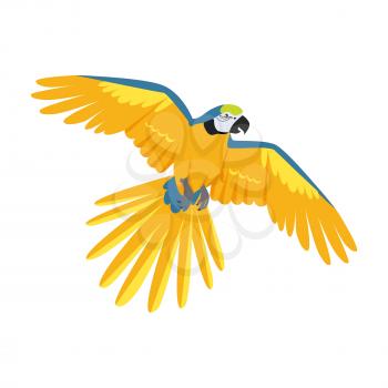 Ara parrot vector. Birds of Amazonian forests in flat design illustration. Fauna of South America. Flying colorful Ara parrot for icons, posters, childrens books illustrating. Isolated on white.