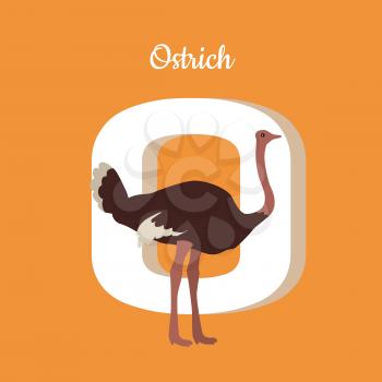 Animal alphabet. Letter - O. Brown ostrich stands near letter. Alphabet learning chart with animal illustration for letter and animal name. Vector zoo alphabet with cartoon animal on orange background