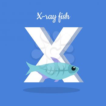 Animal alphabet vector concept. Flat style. Zoo ABC with decorative fish. X-ray fish swimming on blue background, letter X behind. Educational glossary. For children s books, textbooks illustrating