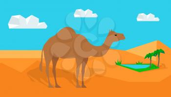 Traditional Eastern and African natural motif. Dromedary camel in the desert, oasis from nearby. Flat design vector. For traveling and nature concepts, habitat illustrating. Exotic domestic animal