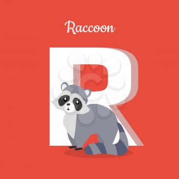 Raccoon with letter R isolated on red. Racoon, North American raccoon, northern raccoon and colloquially coon, medium-sized mammal. Part of alphabetic series with animals. ABC, alphabet. Vector