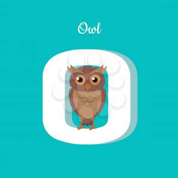 Animal alphabet vector concept. Flat style. Zoo ABC with wild predatory bird. Cute owl sitting on letter O on blue background. Educational glossary. For children s books, textbooks illustrating