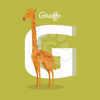 Animals alphabet. Letter - G. Brown giraffe stands near letter. Alphabet learning chart with animal illustration for letter and animal name. Vector zoo alphabet with cartoon animal on green background