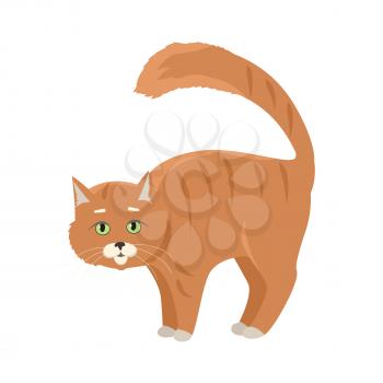 Aggressive or frightened red cat with arched back flat vector illustration isolated on white background. Domestic animal emotions and behavior. For pet shop ad, animalistic hobby concept, breeding