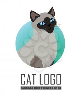 Siamese cat breed. Cute grey cat seating flat vector illustration isolated on white background. Purebred pet. Domestic friend and companion animal. For pet shop ad, animalistic hobby concept, breeding