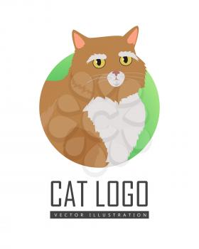 Munchkin cat breed. Cute red short-legged cat with raised tail flat vector illustration isolated on white background. Domestic friend and companion animal. For pet shop ad, hobby concept, breeding