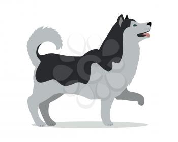 Black and white huskies in stand on white background. Dog icon or logo element. Vector illustration in flat style. Side view siberian husky dog design. Cartoon character, pet animal.