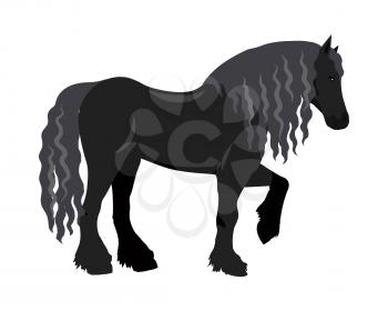 Black draft horse with curly mane vector. Flat design. Domestic animal. Country inhabitants concept. For farming, animal husbandry, horse sport illustrating. Agricultural species. Isolated on white