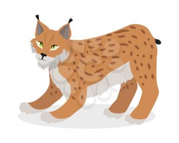 Lynx, bobcat, wildcat isolated on white. Cat family member. Lynx genus of medium-sized wild cats. Felids. Pantherinae jaguar, leopard. Caracal, Jungle cat. Flat style. Vector illustration