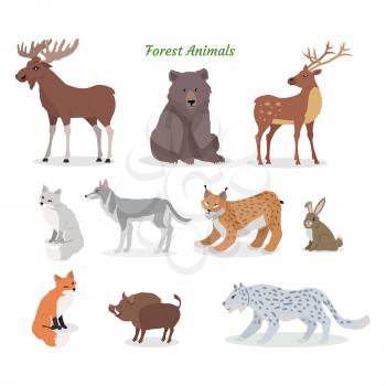 Forest animals set. Moose, boar, lynx, bobcat, bear, deer, wolf, hare, rabbit, fox, wild boar jaguar isolated on white background Wildlife characters Forester cartoon creatures Vector illustration