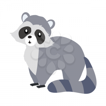 Funny raccoon sitting isolated on white background. Gray raccoon with striped tail. Animal adorable mammal raccoon vector character. Charming raccoon. Wildlife character