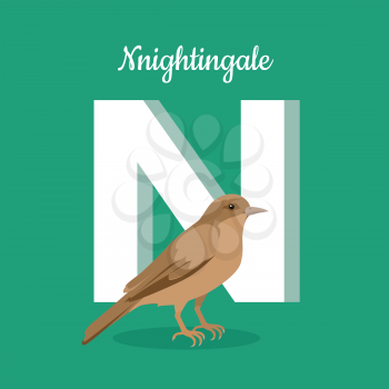 Animals alphabet. Letter - N. Nightingale stands near letter. Alphabet learning chart with animal illustration for letter and animal name. Vector zoo alphabet with cartoon animal on green background