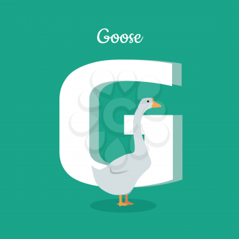 Animal alphabet vector concept. Flat style. Zoo ABC with domestic bird. Fatty goose standing on green background, letter G behind. Educational glossary. For children s books, textbooks illustrating