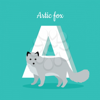 Animals alphabet. Letter - A. White arctic fox near letter. Alphabet learning chart with animal illustration for letter and animal name. Vector zoo alphabet with cartoon animal on blue background