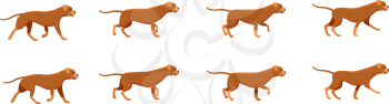 Collection of icons with fast running dogs. Red angry animal with long tail. Animation picture with different creature movements. Actions. Speed. Simple cartoon style. Side view. Flat design. Vector