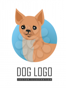Dog vector logo in flat style. Chihuahua bust in the blue circle illustration for pet shop, breed club logotype, app icon, animal infogpaphics elements, web design. Isolated on white background