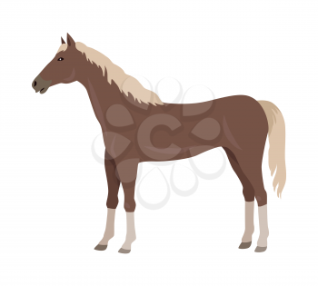 Sorrel horse with white legs vector. Flat design. Domestic animal. Country inhabitants concept. For farming, animal husbandry, horse sport illustrating. Agricultural species. Isolated on white