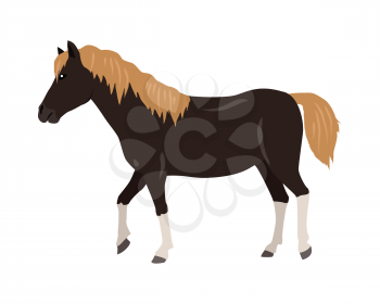 Black horse with red mane and white legs vector. Flat design. Domestic animal. Country inhabitants. For farming, animal husbandry, horse sport illustrating. Agricultural species. Isolated on white