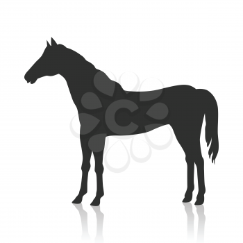 Sorrel horse with white mane vector. Flat design. Domestic animal. Country inhabitants concept. For farming, animal husbandry, horse sport illustrating. Agricultural species. Isolated black on white
