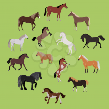 Illustration of different breeds of horses. Various color horses. Horse icon set. Set of horses in action stand, run, jump, go. Horseback riding. Isolated vector illustration on green background.