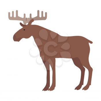 Moose flat style vector. Wild herbivorous animal. Northern fauna species. Elk with horns. For nature concepts, children s books illustrating, printing materials. Isolated on white background