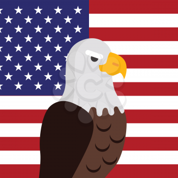 Bald eagle vector. USA national bird symbol and flag for patriotic national symbolic, patriotic posters, elections illustrating. Big eagle witn white fead on American flag background. 4 july
