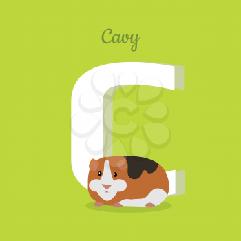 Animal alphabet vector concept. Flat style. Zoo ABC with domestic animal. Guinea pig lying on green background, letter C behind. Educational glossary. For children s books, textbooks illustrating