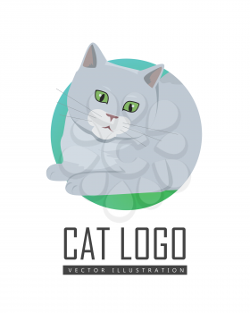 Cute grey cat playing with toy flat vector illustration isolated on white background. Purebred pet. Domestic friend and companion animal. For pet shop ad, hobby concept, breeding