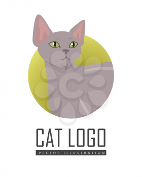 Peterbald cat breed. Cute bald cat playing with ball of yarn flat vector illustration isolated on white background. Purebred pet. Domestic friend and companion animal. For pet shop ad, hobby concept